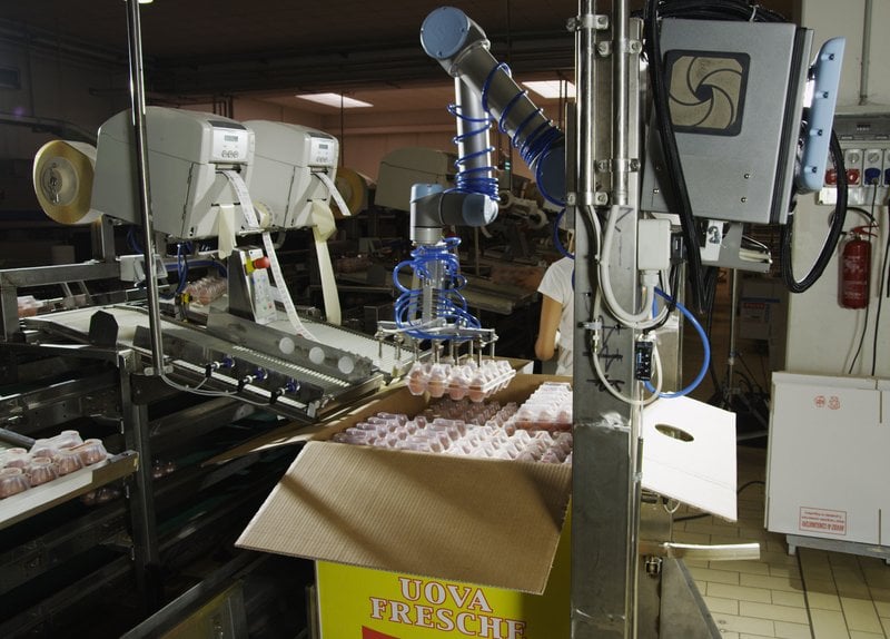 Cobots in food production
