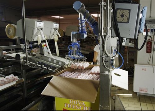 Collaborative Robots Transform The Food Industry Universal Robots